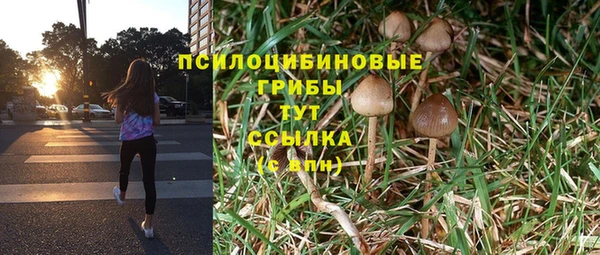 мдма Богданович