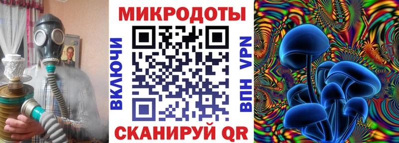 Псилоцибиновые грибы Psilocybe  Окуловка 